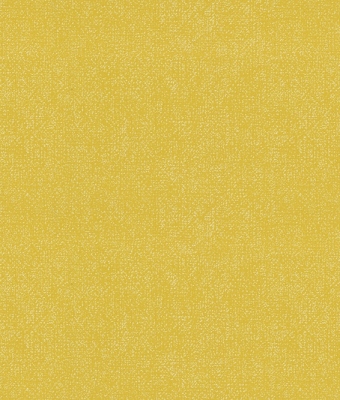 H1001-20
