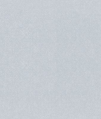 H1001-06