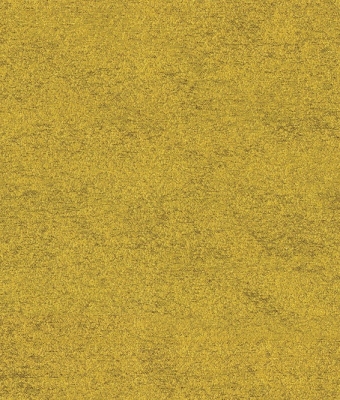 G8130-19