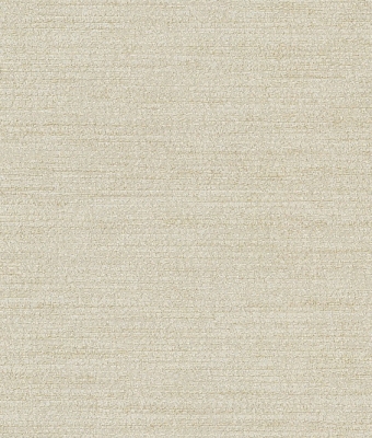 H1006-04