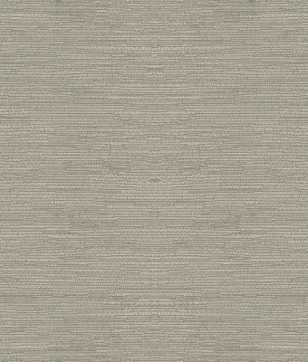 H1005-06