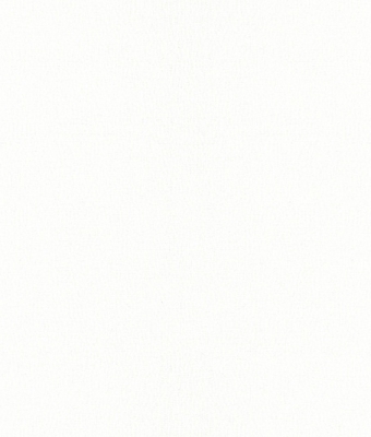 H1004-01
