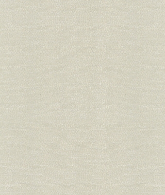 H1004-03