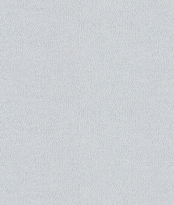H1004-06