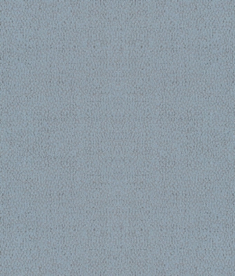 H1004-09