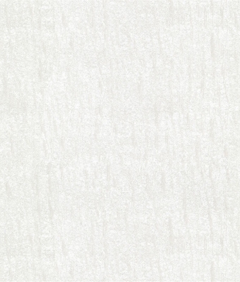 G1700-06