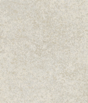 G1781-01
