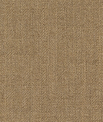 AW5604-04